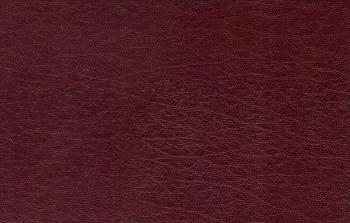 Leather Textures (JPG) | OnlyGFX.com