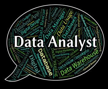 Data Analyst Shows Analyser Words And Analysts
