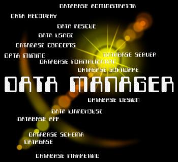 Data Manager Shows Bytes Director And Managers