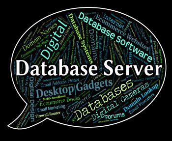 Database Server Shows Word Networking And Databases