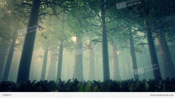 Deep Forest Fairy Tale Scene 3D Render Stock Animation | 1246671