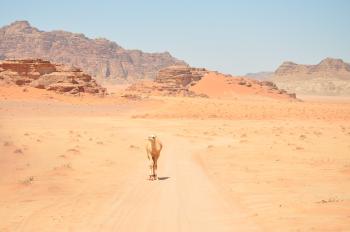 File:Desert landscape (12464661053).jpg - Wikimedia Commons