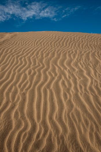 Desert sand ripples