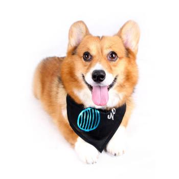 Happy Puppy Designer Dog Accessory - Venetian-Blind Sunglasses Bandana
