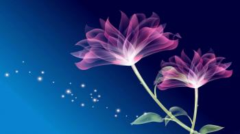 Digital Flowers #6904572