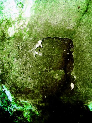 Dirty Green Concrete: Texture Pack