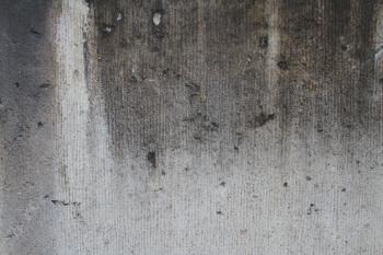Grunge Concrete (3) - 14Textures