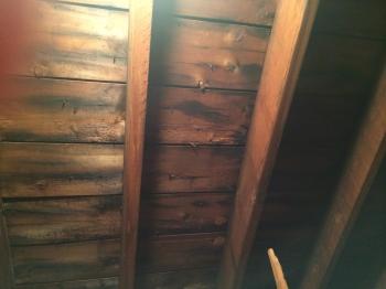 Is this Mold or Discoloration? Or Rooted Wood attic... - InterNACHI ...