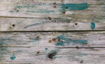 Discoloured wood