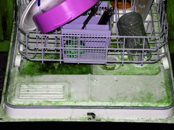 Disgusting Dishwasher in Abandoned Proje