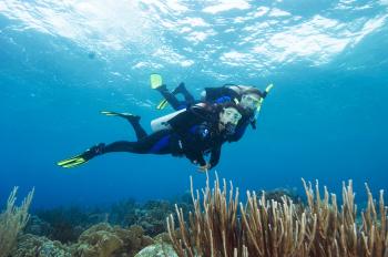 Is Learning to Dive Hard?