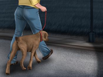 How to Walk Your Dog at Night: 14 Steps (with Pictures) - wikiHow