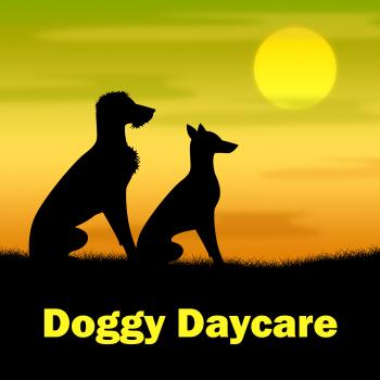 Doggy Daycare Represents Canines Pasture And Pup