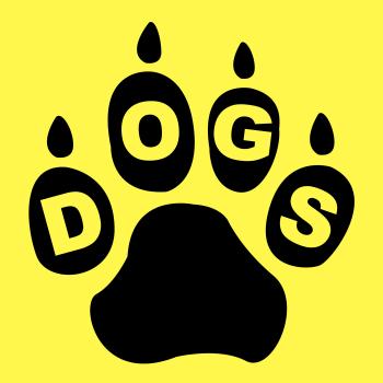 Dogs Paw Means Doggie Pedigree And Puppy