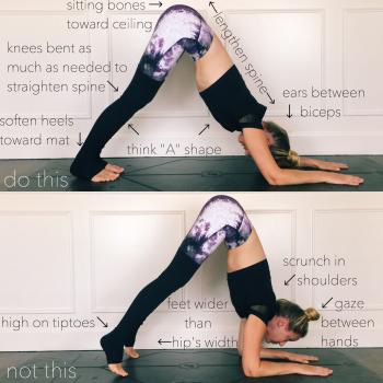 Dolphin Pose. Instagram: chelseasyoga | Library Yogis | Pinterest ...