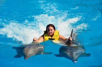 Dolphin Swim Program | Dolphinaris.com