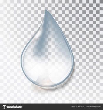 Drop of water on a transparent background. — Stock Vector ...