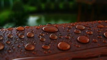 Drops: Wood Wet Nature Drop Desktop Background 1920x1080 for HD 16:9 ...