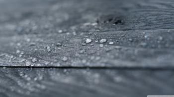 Water Drops On Wood ❤ 4K HD Desktop Wallpaper for 4K Ultra HD TV ...