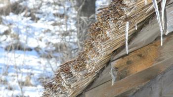 Water from melting snow, ice and icicles falling in droplets from ...