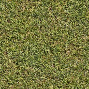 Grass+02+seamless.jpg (1600×1600) | Textur | Pinterest ...