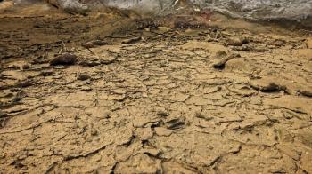 Dry cracked ground Stock Video Footage - Videoblocks
