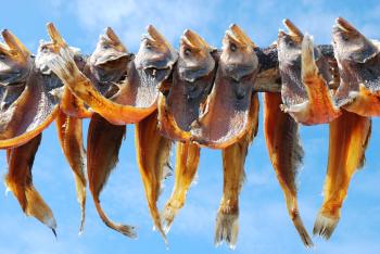 File:Drying fish in Oqaatsut,Gronland.jpg - Wikimedia Commons