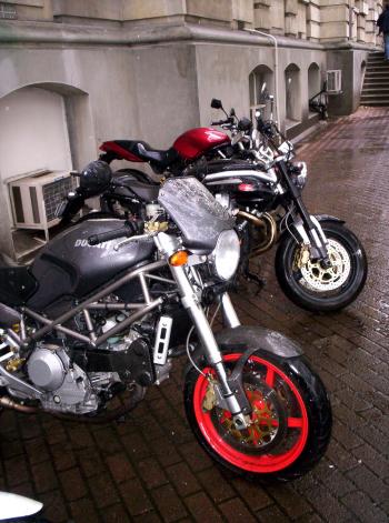 Ducati in the Rain