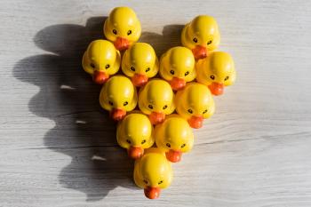 Scaling your Redux App with ducks – freeCodeCamp