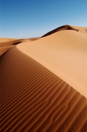Dune - Wikipedia