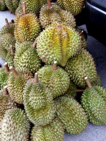 Durian Fruit Sale