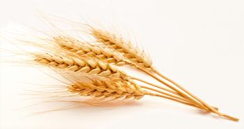 Should you be avoiding phytic acid?