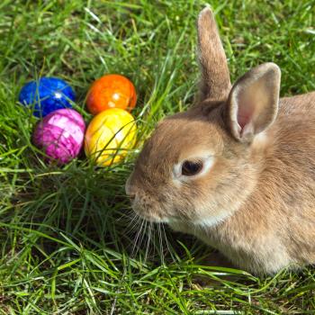 File:Easterbunny 1.jpg - Wikimedia Commons