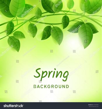 Natural Green Eco Background Leaves Lianas Stock Photo (Photo ...