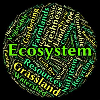 Ecosystem word shows eco biosystem and ecology