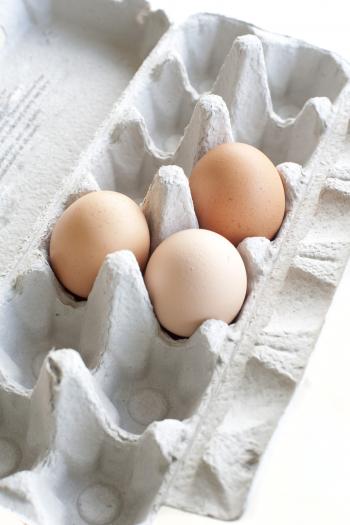 Hite Eggs In Carton HD Wallpaper, Background Images