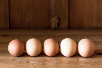 Eggs on wood background