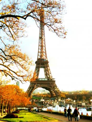 Eiffel Tower in Autumn