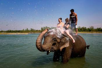 Chitwan National Park Elephant Bathing | Chitwan National Park ...