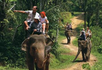 Elephant Ride | Putu Bali Tour Guide