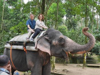 Elephant Ride in Thekaddy | "ELEPHANT JUNCTION” – Unforgettable ...