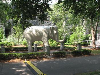 Elephant statue sculpture