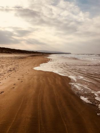 Empty Brown Sand Seashore