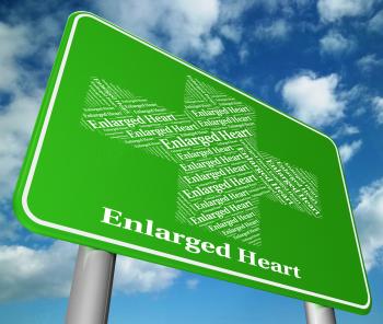 Enlarged Heart Indicates Poor Health And Affliction