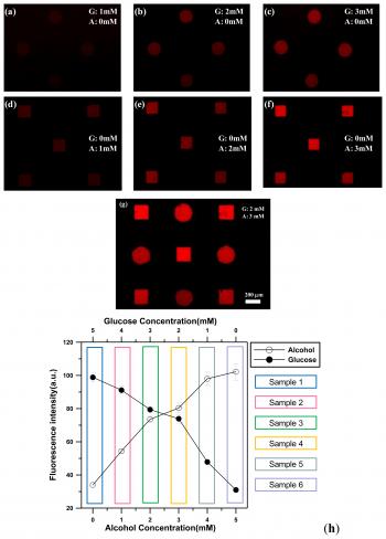 Sensors | Free Full-Text | Light-Addressed Electrodeposition of ...