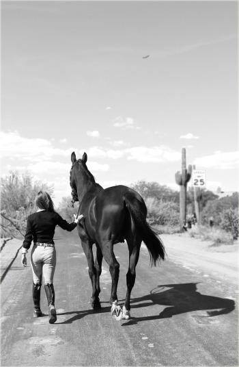 Equestrian Friend Finder is the best and largest online community ...