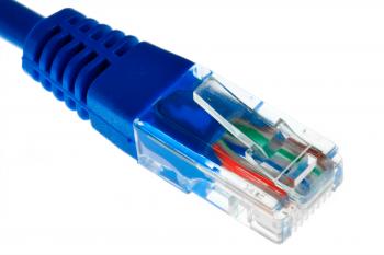 Ethernet Cable Close-up