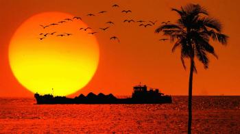 Evening in Goa, India wallpapers and images - wallpapers, pictures ...