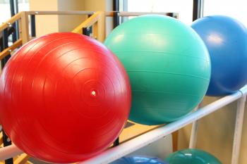 Exercise balls