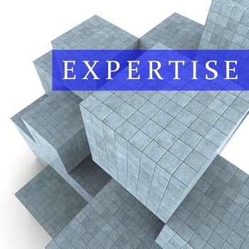 Expertise Blocks Represents Master Skills 3d Rendering